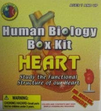 Human Biology Heart Box Kit