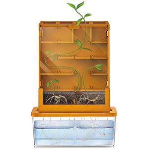 Grow-A-Maze Green Science Kit
