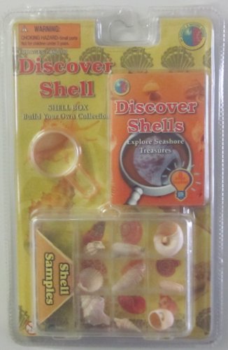 Discover Shells Kit
