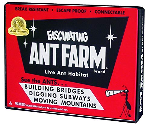 Ant Farm Live Ant Habitat